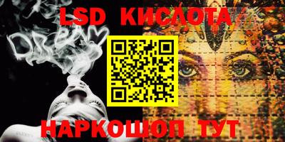 apvp Бийск