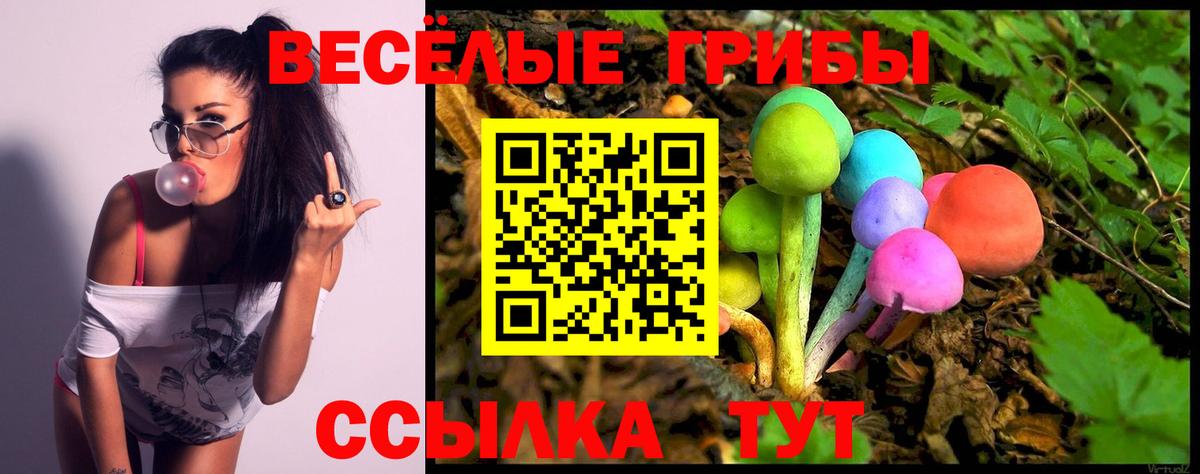 Галлюциногенные грибы Psilocybine cubensis  Вход с VPN  Клинцы 