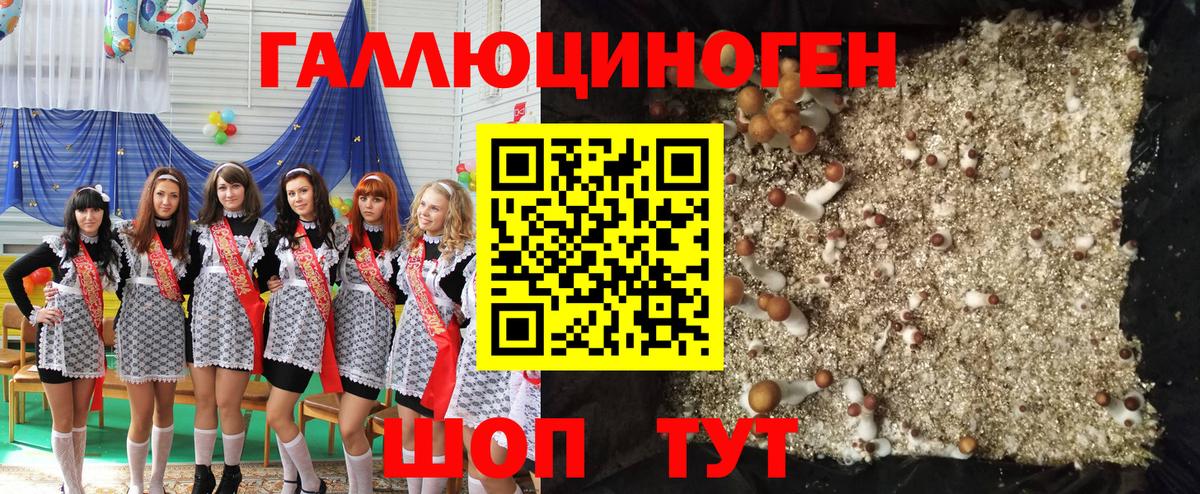 Галлюциногенные грибы GOLDEN TEACHER Клинцы